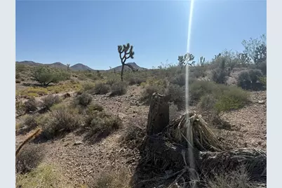 8124 Rio Vista Drive, White Hills, AZ 86445 - Photo 6