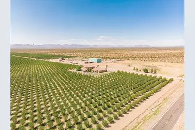 4536 Dora Drive, Golden Valley, AZ 86413 - Photo 34