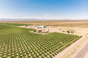 4536 Dora Dr, Golden Valley, AZ 86413 - Photo 34