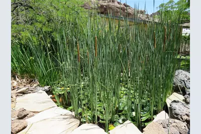 1720 N Clack Canyon Road, Kingman, AZ 86409 - Photo 32