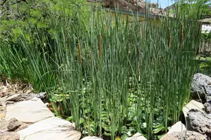 1720 N Clack Canyon Rd, Kingman, AZ 86409 - Photo 32