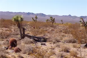 2 Lots N Hitching Post, White Hills, AZ 86445 - Photo 1