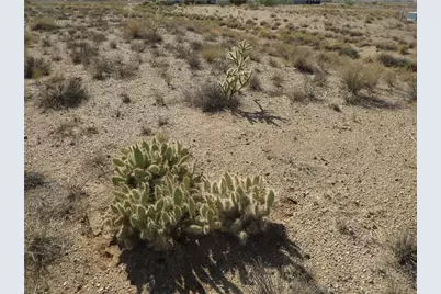 7369 N Skull Avenue, Kingman, AZ 86401 - Photo 6