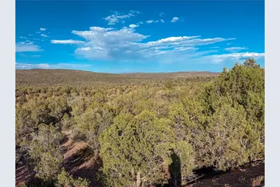 176 N Willows Ranch Rd Road, Kingman, AZ 86401 - Photo 32
