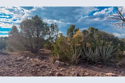 176 N Willows Ranch Rd Road, Kingman, AZ 86401 - Photo 38