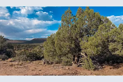 176 N Willows Ranch Rd Road, Kingman, AZ 86401 - Photo 40