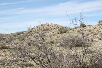 020 E Purple Rose Lane, Kingman, AZ 86401 - Photo 6