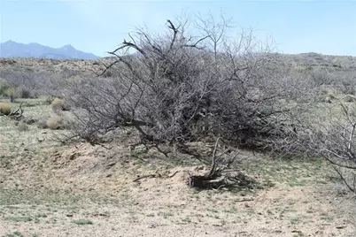 020 E Purple Rose Lane, Kingman, AZ 86401 - Photo 4