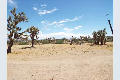 18677 N Remuda Drive, Dolan Springs, AZ 86441 - Photo 18