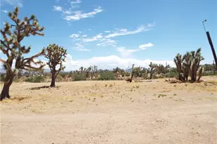 18677 N Remuda Dr, Dolan Springs, AZ 86441 - Photo 18