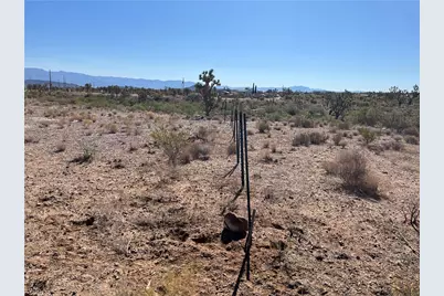 327-03-384 N Pueblo Road, Dolan Springs, AZ 86441 - Photo 4