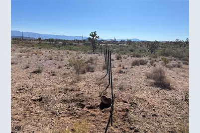 000 N Pueblo Road, Dolan Springs, AZ 86441 - Photo 4