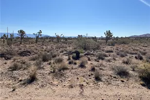 327-03-384 N Pueblo Rd, Dolan Springs, AZ 86441 - Photo 1