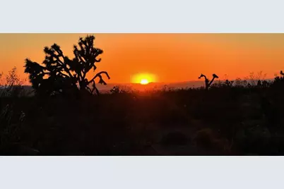 3501 Wild Bill Road, Yucca, AZ 86438 - Photo 6