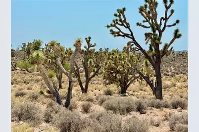 26681 Yucca Road, Meadview, AZ 86444 - Photo 14