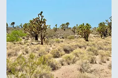 26681 Yucca Road, Meadview, AZ 86444 - Photo 18