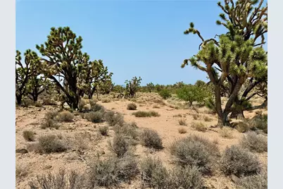 26681 Yucca Road, Meadview, AZ 86444 - Photo 22