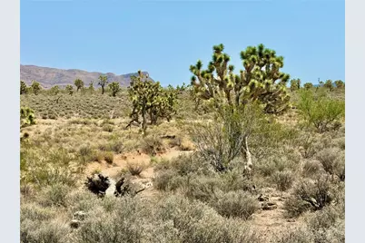 26681 Yucca Road, Meadview, AZ 86444 - Photo 2