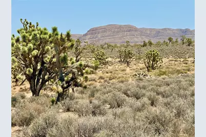 26681 Yucca Road, Meadview, AZ 86444 - Photo 24