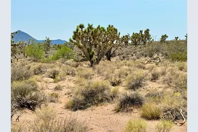 26681 Yucca Road, Meadview, AZ 86444 - Photo 12