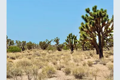 26681 Yucca Road, Meadview, AZ 86444 - Photo 20