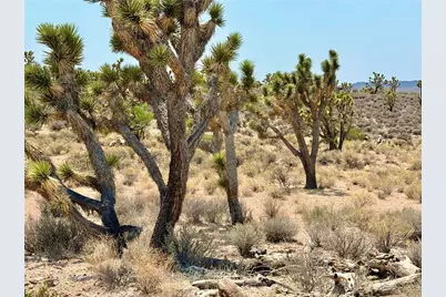 26681 Yucca Road, Meadview, AZ 86444 - Photo 16