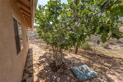 6323 N Cottontail Trail, Kingman, AZ 86409 - Photo 30