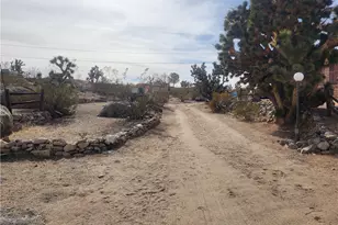 600 W Havasu Ln, Meadview, AZ 86444 - Photo 60