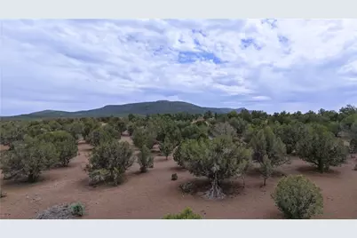 44050 W Fort Rock Road, Seligman, AZ 86337 - Photo 28