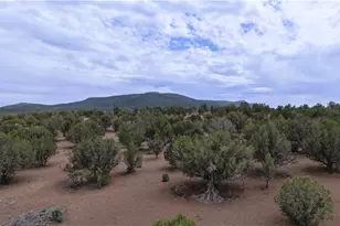 44050 W Fort Rock Rd, Seligman, AZ 86337 - Photo 28