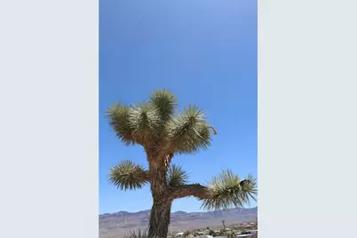 470 Silver Creek Road, Meadview, AZ 86444 - Photo 22