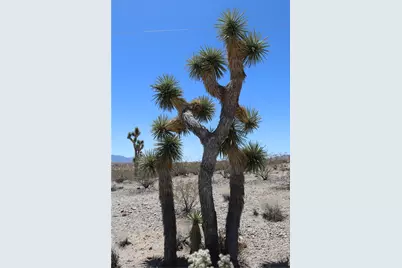 470 Silver Creek Road, Meadview, AZ 86444 - Photo 18