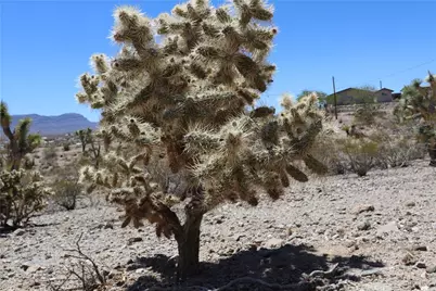 470 Silver Creek Road, Meadview, AZ 86444 - Photo 6