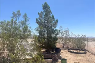 7352 W Ninth St, Dolan Springs, AZ 86441 - Photo 44