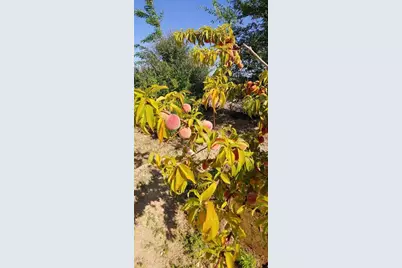 9570 Fietz Avenue, Golden Valley, AZ 86413 - Photo 44