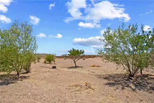 9570 Fietz Ave, Golden Valley, AZ 86413 - Photo 28