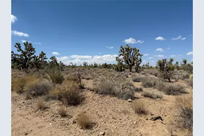 18432 Saddle Drive, Dolan Springs, AZ 86441 - Photo 10