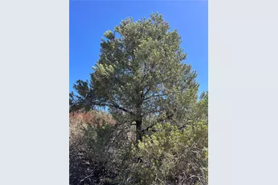 135 N Velvet Antler Road, Kingman, AZ 86401 - Photo 8