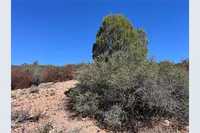 135 N Velvet Antler Road, Kingman, AZ 86401 - Photo 12