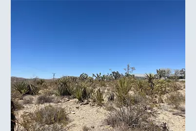 319-13-344 Lakeside Drive, Dolan Springs, AZ 86441 - Photo 4