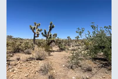 319-13-351 Lakeside Drive, Dolan Springs, AZ 86441 - Photo 1