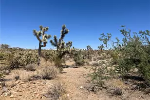 319-13-351 Lakeside Dr, Dolan Springs, AZ 86441 - Photo 1