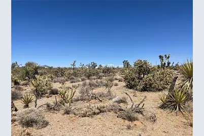319-13-351 Lakeside Drive, Dolan Springs, AZ 86441 - Photo 2