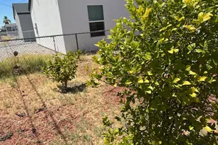 2038 Gregg Ln, Bullhead City, AZ 86442 - Photo 12