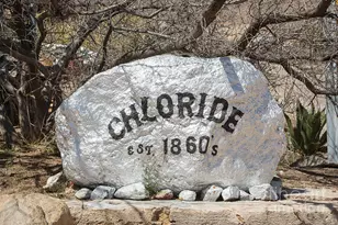 4868 W Tennessee Ave, Chloride, AZ 86431 - Photo 10