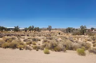 27085 N Apple Dr, Meadview, AZ 86444 - Photo 1