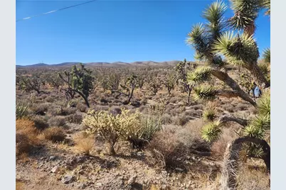 336-09-421A N Tamarisk & Rainbow, Meadview, AZ 86444 - Photo 1