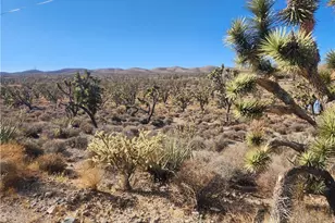 336-09-421A N Tamarisk & Rainbow, Meadview, AZ 86444 - Photo 1