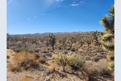 0000 N Tamarisk & Rainbow, Meadview, AZ 86444 - Photo 2