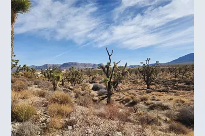 336-09-421A N Tamarisk & Rainbow, Meadview, AZ 86444 - Photo 10